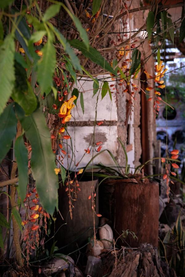 Y.O Inn Kon Tum Luaran gambar